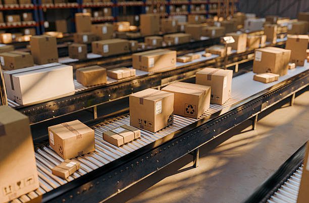 Packing Services-2