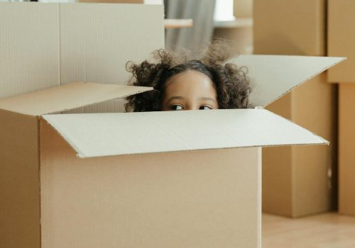 Packing Like a Pro: Tips from Professional Movers