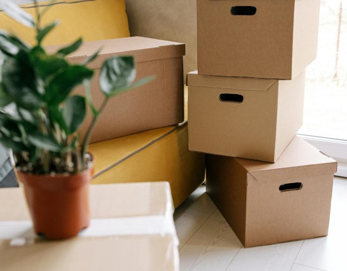 pexels-ivan-samkov-8962868